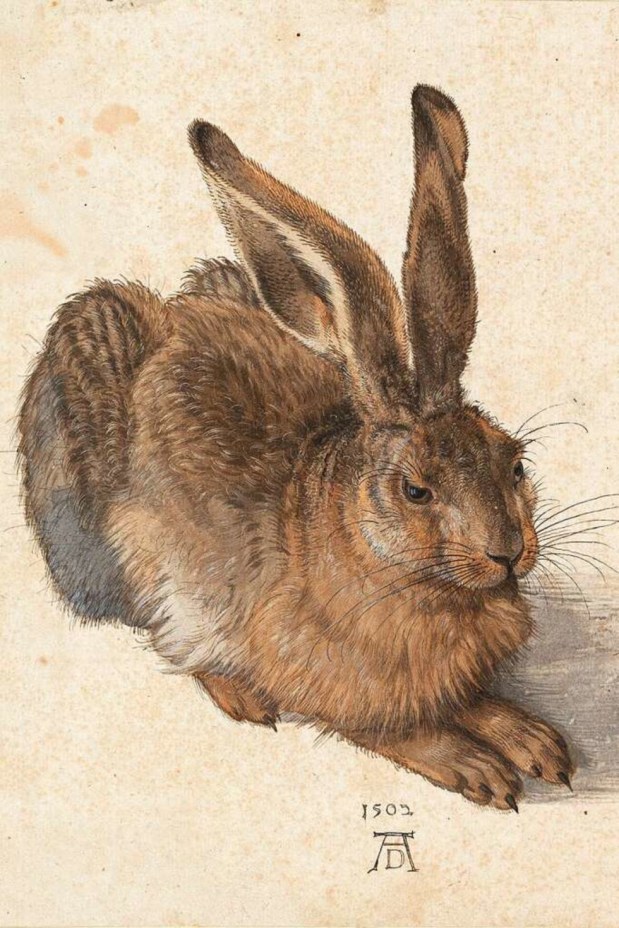 Armes Häschen, bist du krank,dass du nicht mehr hüpfen&nbsp;kannst?